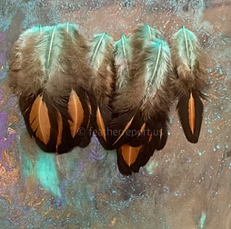 Ombre Laced Craft Feathers Hen Saddle Aqua Brown