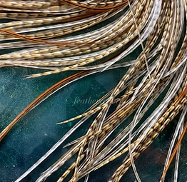Barred ginger natural rooster feathers for hair and crafts