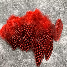 Red Guinea Pheasant Feathers Small Craft Feather Bulk Pack