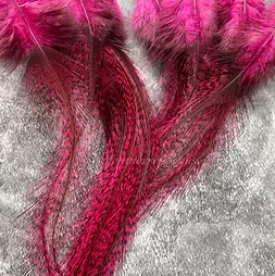 Coq de Leon Orchid Pink Rooster Feathers 4to11inch Craft Feathers