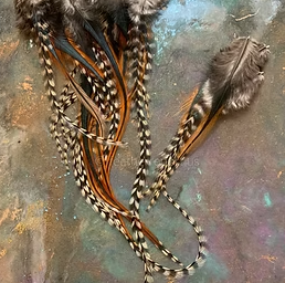 Grizzly variant rooster craft Feathers pack of 25 5 to 11 inch