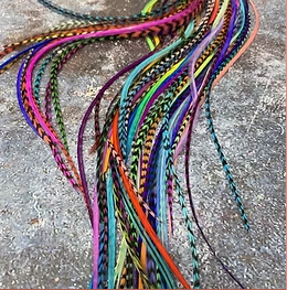 50 10-14” all colors bulk hair feather extensions intro pack