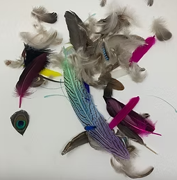 WYSIWYG scrap Craft feathers mixed lot 4