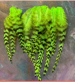 Bright Kelly Green Grizzly Rooster Feathers x15