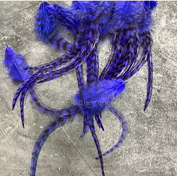Blue Violet Grizzly Rooster Feathers for Crafts 25 5-11” Real Feather