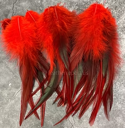 Lollipop Red Rooster Saddle Feathers for Christmas and Valentines Day x25