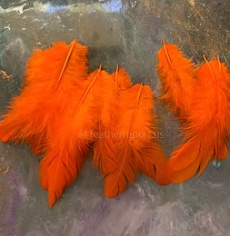 Small bright orange solid hen feathers for crafts