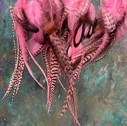 Dyed Ballet Pink Craft Feathers Bulk Assortment 1-10inch Rooster Hen Pheasant