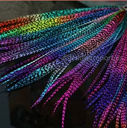 Grizzly Hair Feathers Eurohackle Rooster Feather Extensions All Rainbow 100