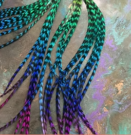 Grizzly Feathers for Earrings Ombre Lime Turquoise Purple