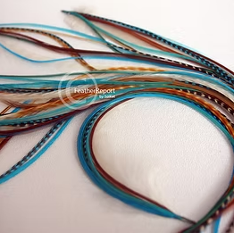 Turquoise Waves Ocean Colors Popular