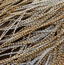 Cree Variant Long Natural Hair Feathers x 10 per Pack