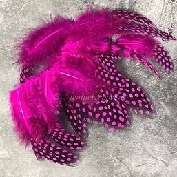 Neon Pink Guinea Pheasant Feathers for Crafts