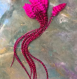 vivid pink grizzly rooster feathers long craft feathers x15