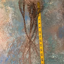 Extra Long Fluffy Grizzly Hair Feathers 14-19” x8