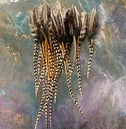 Grizzly Variant Rooster Saddle Feathers Washed Packaged Patterned Natural