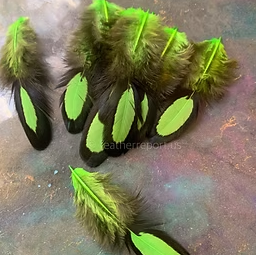 Neon Green Laced Hen Saddle Feathers for Crafts Small Pack of 13
