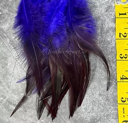 Violet Purple Rooster Saddle Feathers for Crafts Dyed over Brown