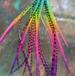 Backwards rainbow turquoise lime purple pink short hair Feathers or jewelry