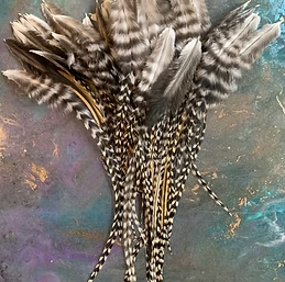 Grizzly variant zebra striped natural black white badger craft Feathers bulk x50