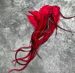 Fuchsia Rooster Craft Feathers Bold Pink Color Full Fuzzy