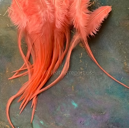 coral rooster craft feathers 30 4to7inch