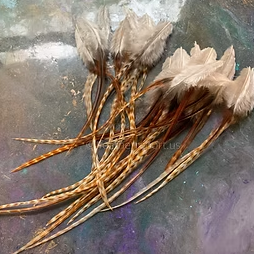 barred medium ginger rooster saddle natural feathers