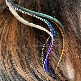 Bonded Feathers Hair Kit with Beads Rainbow Grizzly Iridescent Ginger