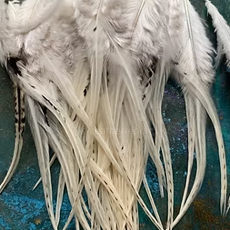 White Speckled Rooster Craft Feathers Soft Flexible Real Natural Feathers Bulk