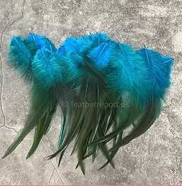 Turquoise Blue Fluffy Rooster Feathers for Crafts x25