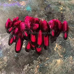 Fuchsia pink Craft Feathers Laced Hen Saddle Small Oval Feather