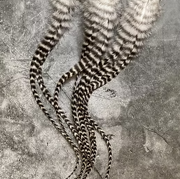 Grizzly Rooster Feathers 10 Per Pack (10-14”) Black and White Stripes