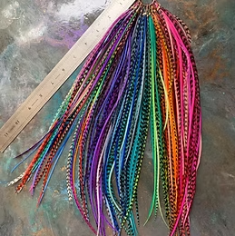 Wholesale Feather Extensions Bulk Kit DIY QTY200 All Colors Hair Feathers
