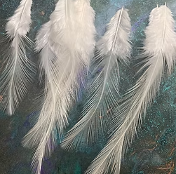 White Rooster Feathers Coq de Leon 12 Natural Bird Feathers