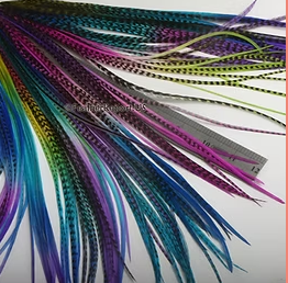 Extra Long Hair Feathers Wholesale Popular Colors Real Feather Extensions 100PC